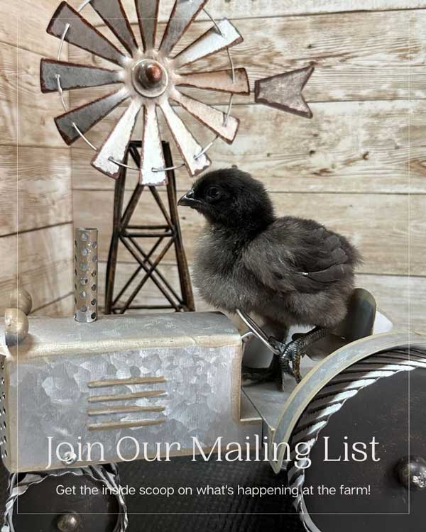 Join Our Mailing List