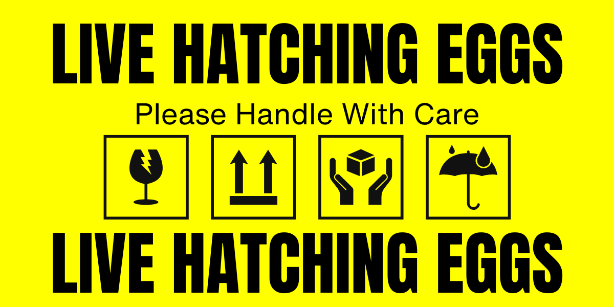 Hatching Egg Shipping Labels - 99 Oaks Farm
