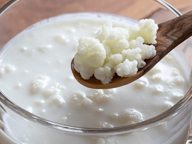 Raw Goat Kefir - 99 Oaks Farm