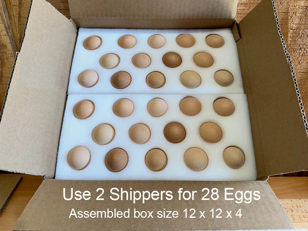 Foam Egg Shippers