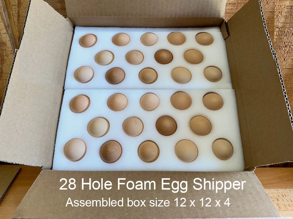 28 Hole Foam Egg Shipper Complete Kit