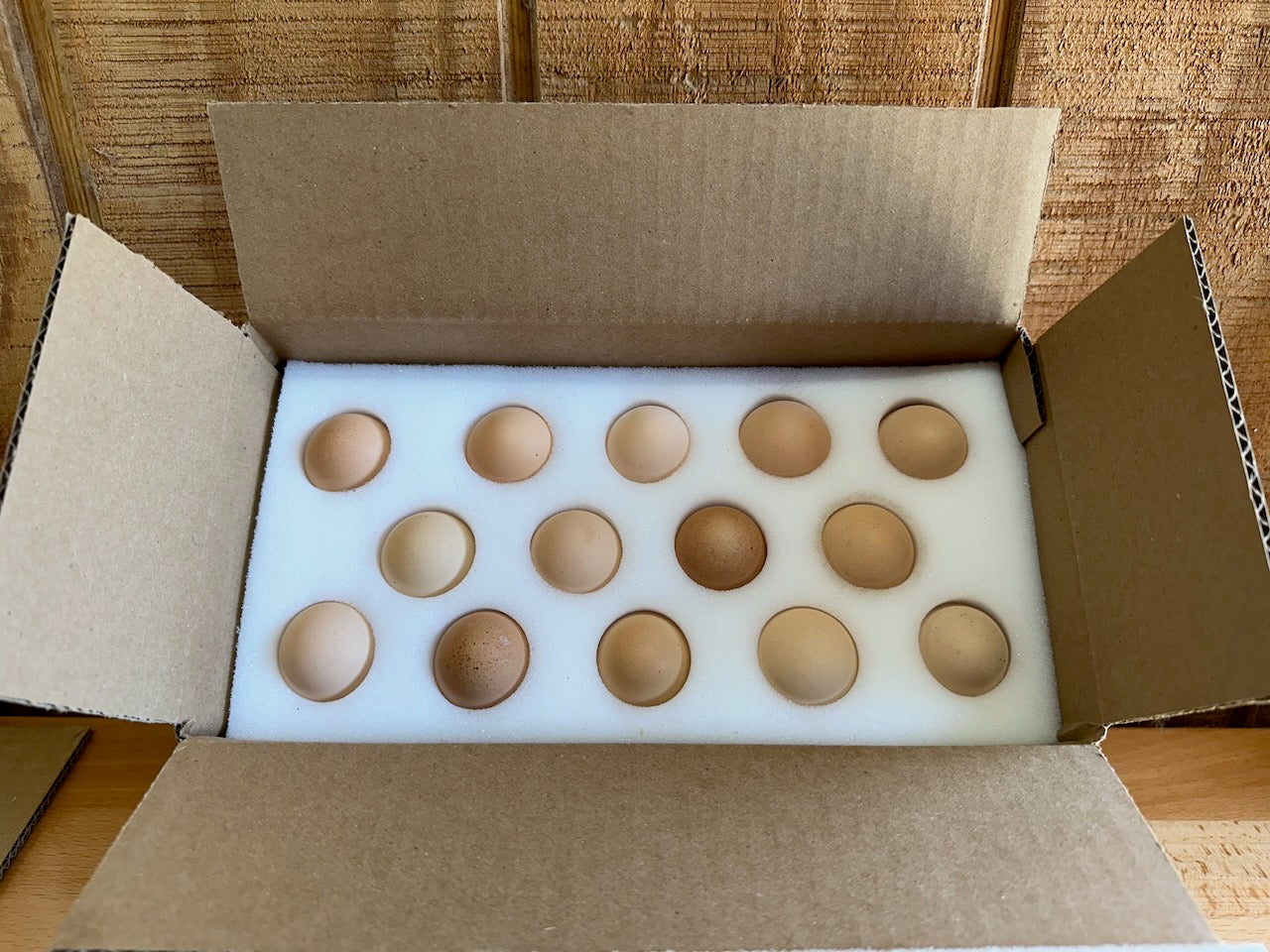 Hatching eggs in foam egg shipper ready to ship