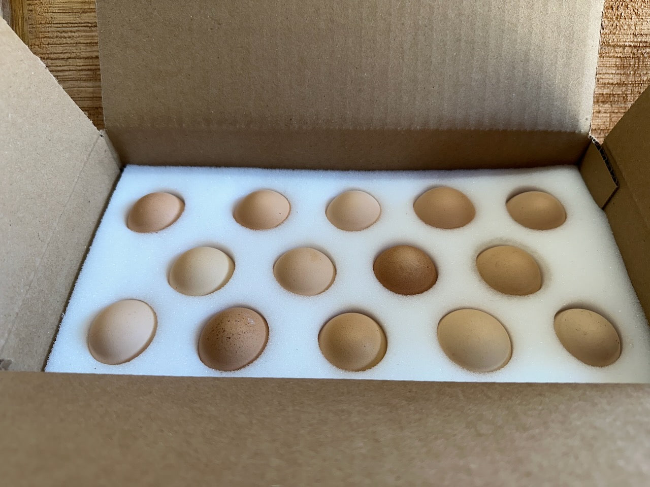 Eggs in shipping box with foam egg shipper