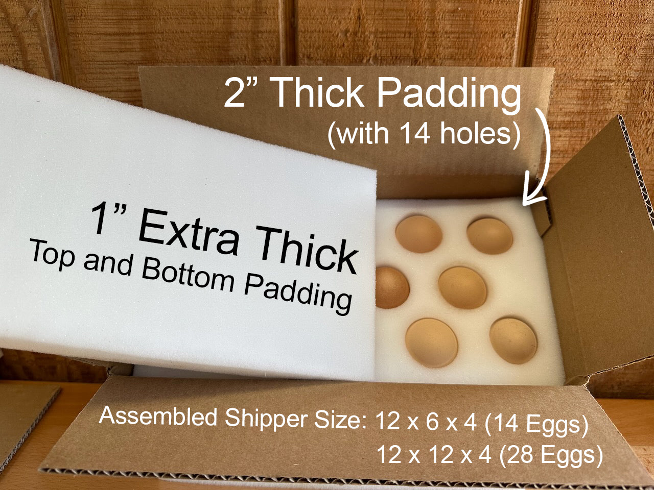 Eggs in shipping box showing foam egg shipper dimensions