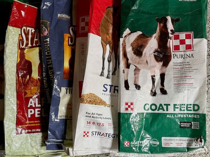 10 Empty Feed Bags (Variety) - for Crafts Totes