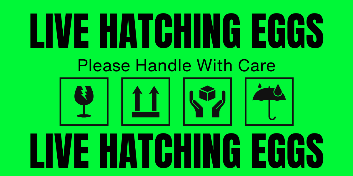 bright green hatching egg label