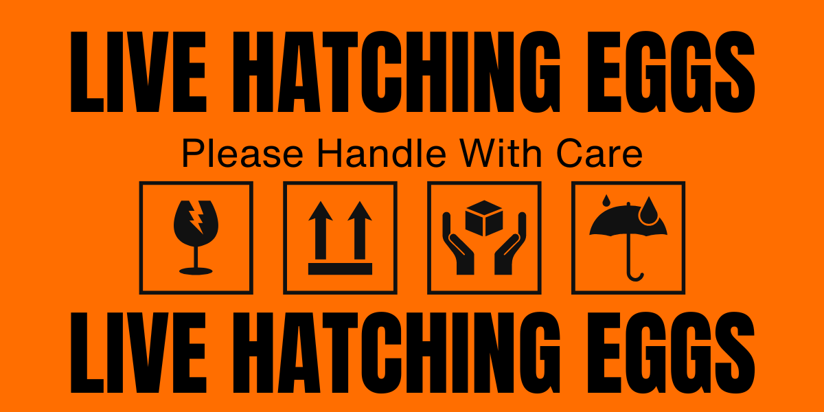 Orange hatching egg label
