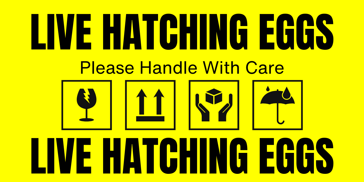yellow hatching egg label