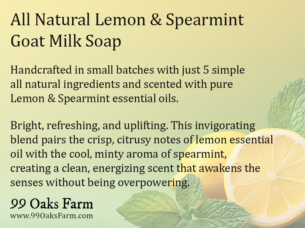 Lemon + Mint Goat Milk & Tallow Soap