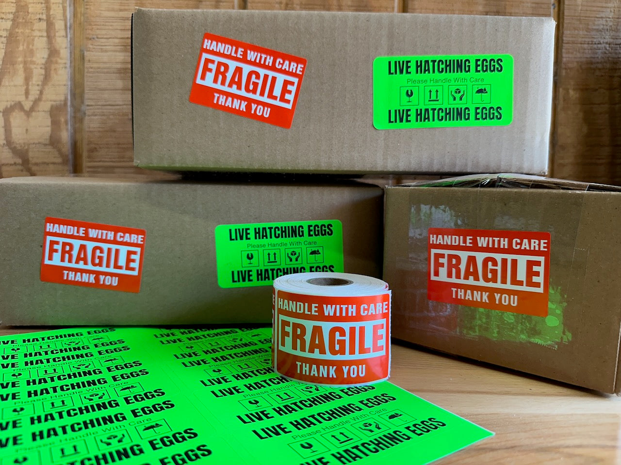 Foam Egg Shipper boxes ready to ship hatching eggs. 