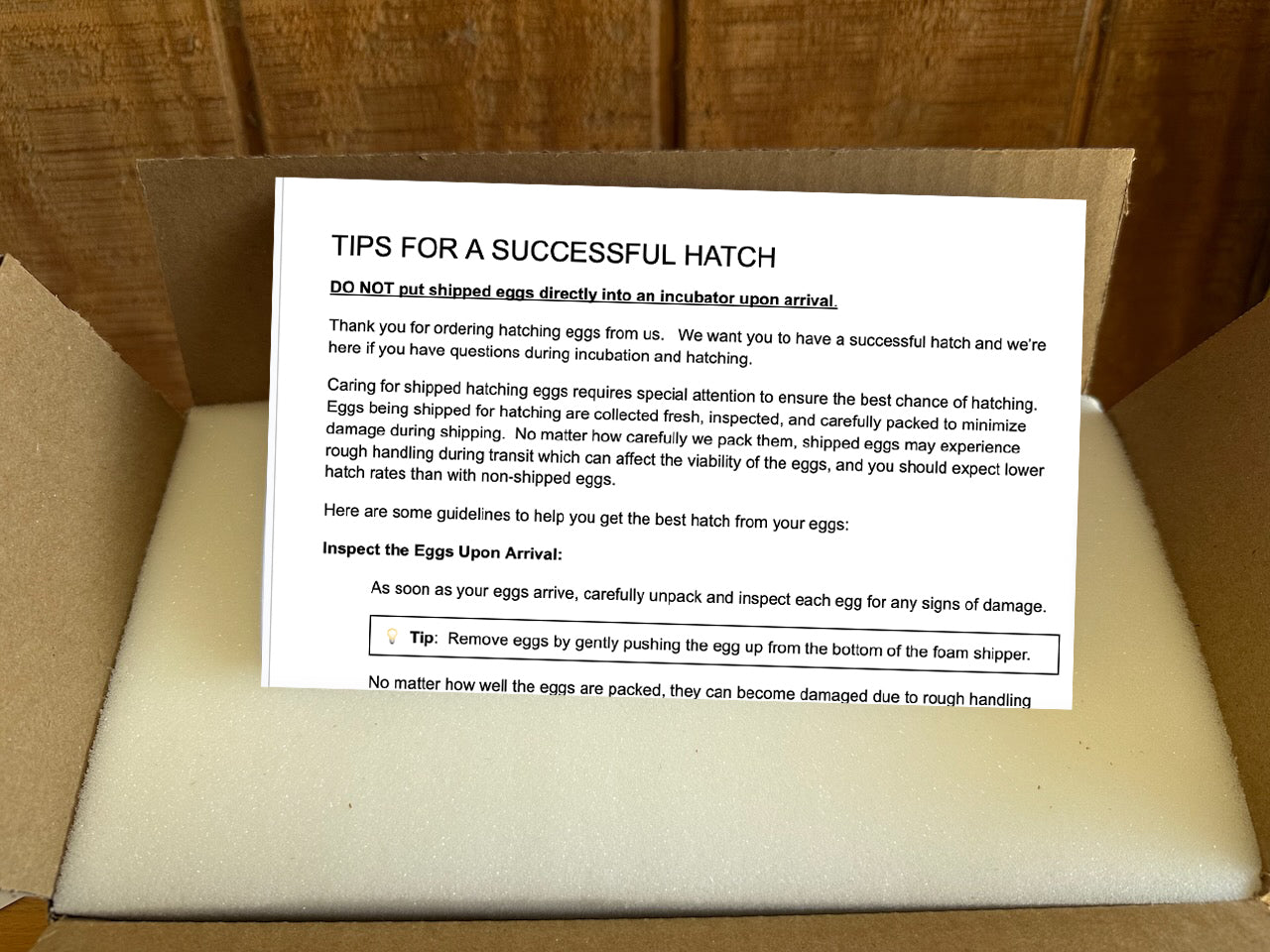 Hatching egg tip sheet example