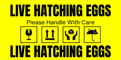 Hatching Egg Shipping Labels - 99 Oaks Farm